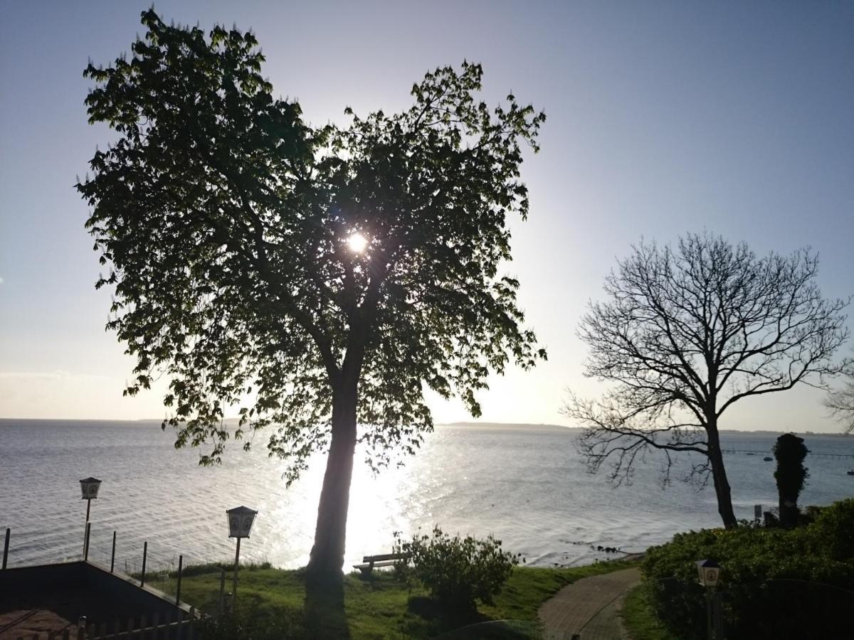 Strandappartement Steinberghaff "Farborg" Mit Meerblick Steinberg (Schleswig-Holstein) Exterior foto